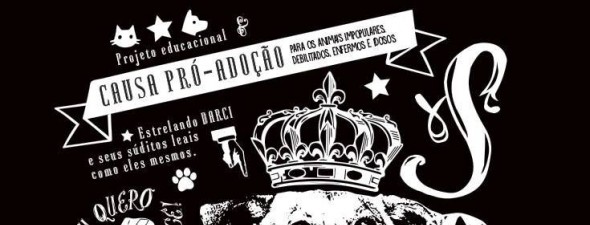 Darci, o cão celebridade de Florianópolis, lança projeto educativo para adoção de animais