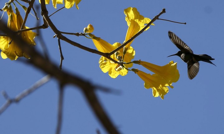 Chegada da primavera com clima instável em SC