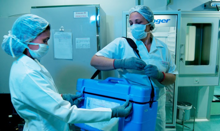 Palmas para o SUS em SC