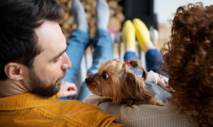 PETS: Divórcio inclui pets e gera disputas judiciais