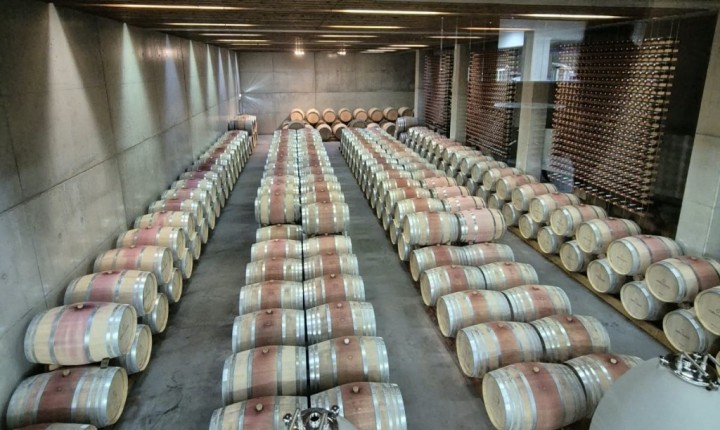 MUNDO DOS VINHOS: Barrica, o tempero que virou disfarce, por Eduardo Araujo