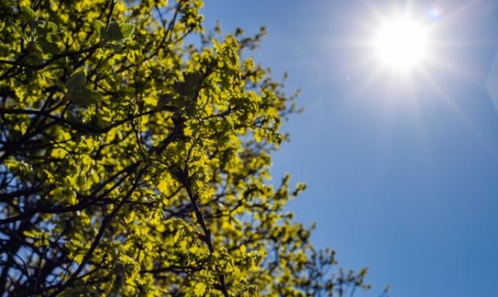 PREVISÃO DO TEMPO: SC terá dias de sol antes da virada do tempo