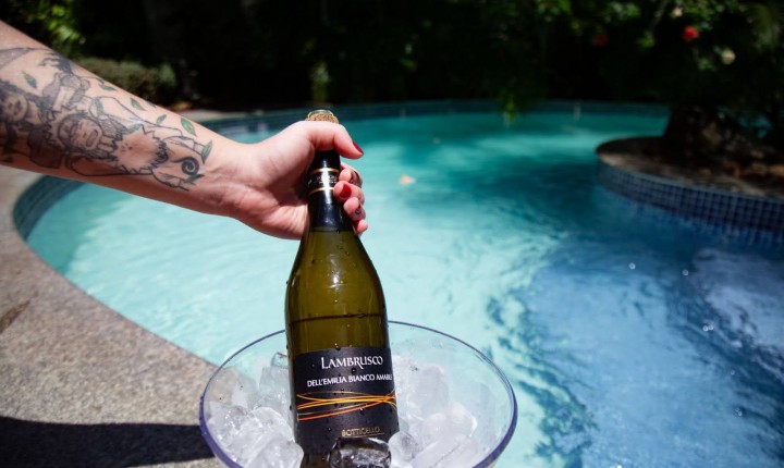 Lambrusco: Conheça as qualidades e variações deste vinho 