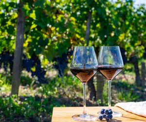 5 razões para amar a uva Cabernet Sauvignon