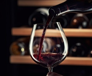 Quais soft skills que tornam este profissional exemplar? 