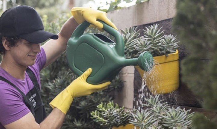 É hora de revitalizar seu jardim