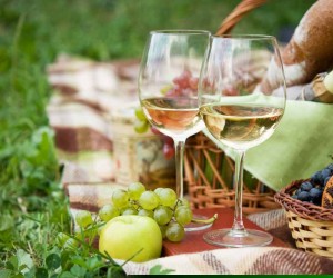 Indicações de vinhos para sua cesta de piquenique