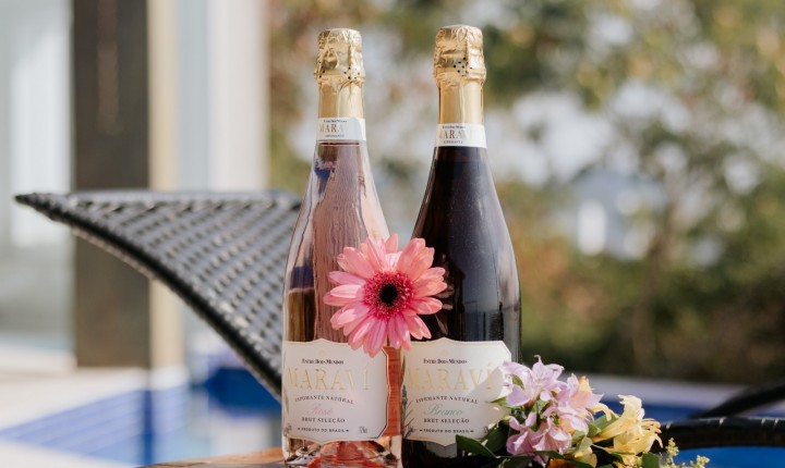 Vinhos para curtir momentos diferentes na primavera