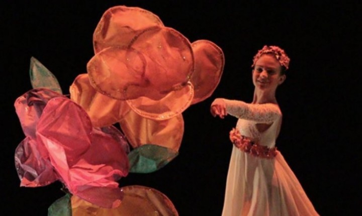 Festival leva 4 dias de espetáculos ao palco do Teatro Ademir Rosa