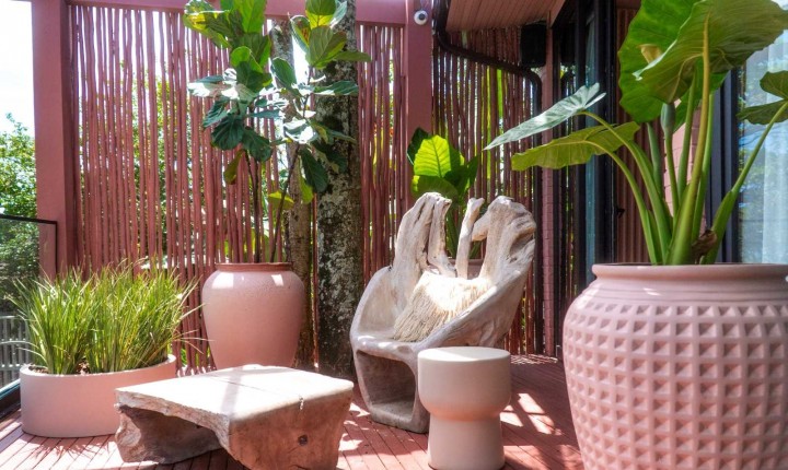 Arquitetos dão dicas de como usar vasos na decoração