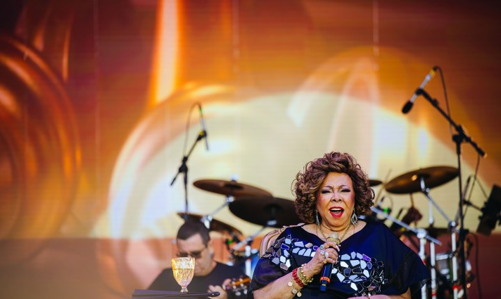 Primeiro dia do ARVO transforma feriado em celebração inesquecível