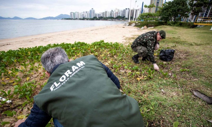 Micro lixo expõe rotina de descuido na Beira-Mar Norte