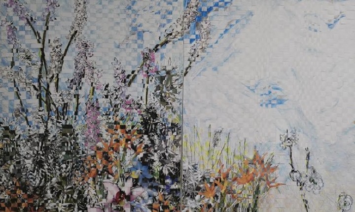 Exposição questiona destruição ambiental