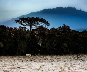 O inverno chegou com força em Floripa