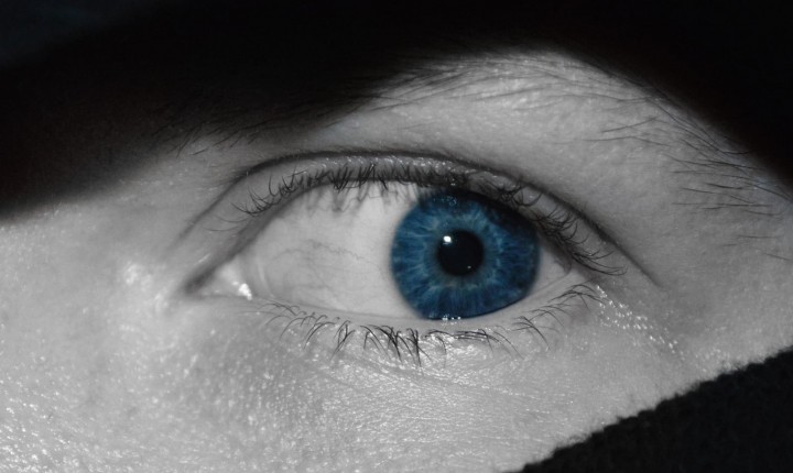 Não falarei de guerras, por Luzia Almeida