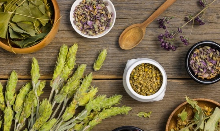 Aposte nas plantas para tratar alergias