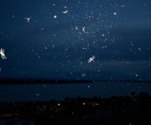 Evento celebra década de fotografia autoral com 40 artistas