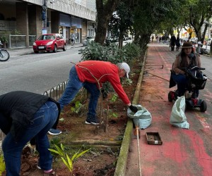 Ação voluntária na Hercílio Luz une comunidade e natureza