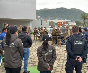 Furto de cabos desmantelado com força-tarefa