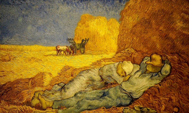 Sesta e Cesta: a cor e a palavra na conduta dos artistas, por Luzia Almeida