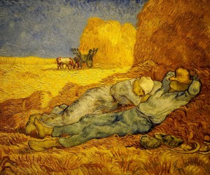 Sesta e Cesta: a cor e a palavra na conduta dos artistas, por Luzia Almeida