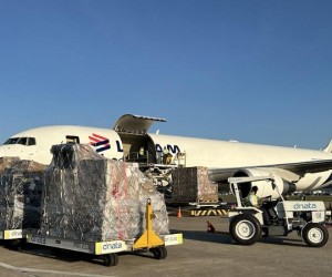 Com voos diretos e agilidade, Floripa lidera em carga aérea