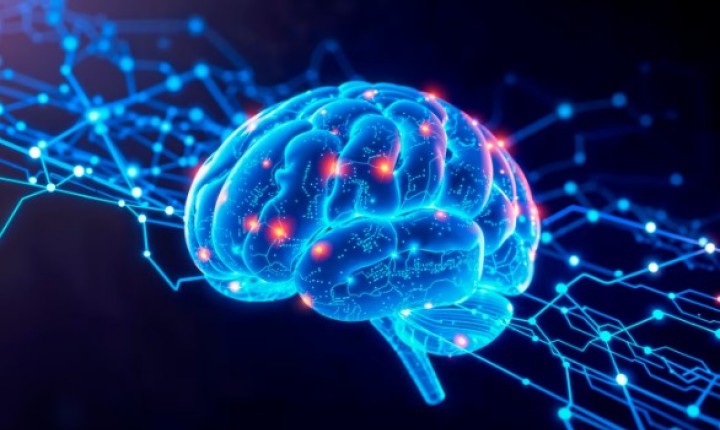 Como problemas no cérebro afetam as emoções?