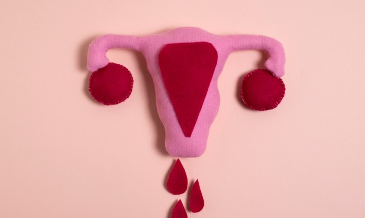 Transformações do corpo não devem ser tabu