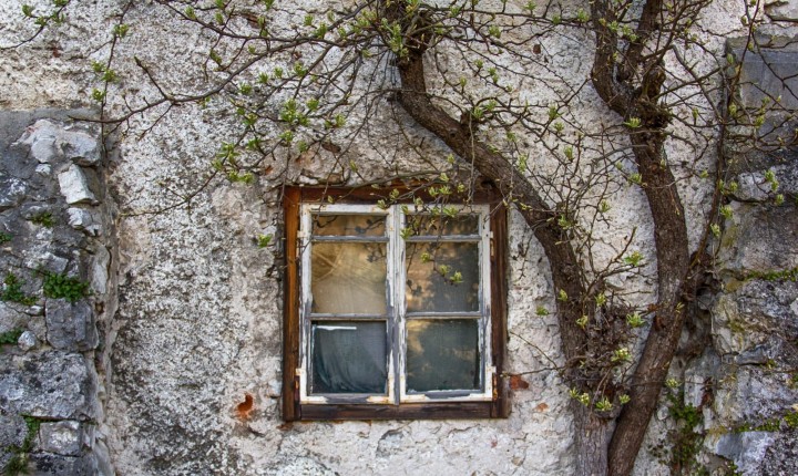 O conto filosófico de Adriano Monte Alegre, por Luzia Almeida