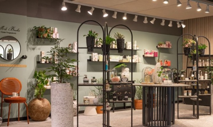 Compras com propósito ganham espaço no litoral catarinense