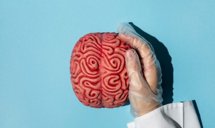 Hábitos simples para ter um cérebro saudável