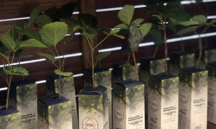 Ação de grupo supermercadista impacta meio ambiente positivamente