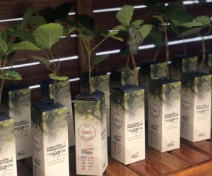 Ação de grupo supermercadista impacta meio ambiente positivamente