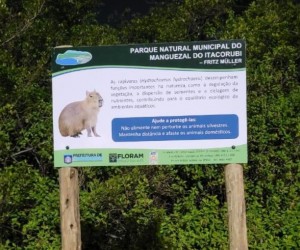 Novas placas orientam convivência com capivaras em Floripa