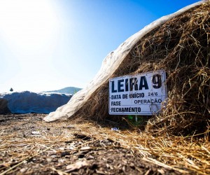 Plano de resíduos será revisado com ajuda da população
