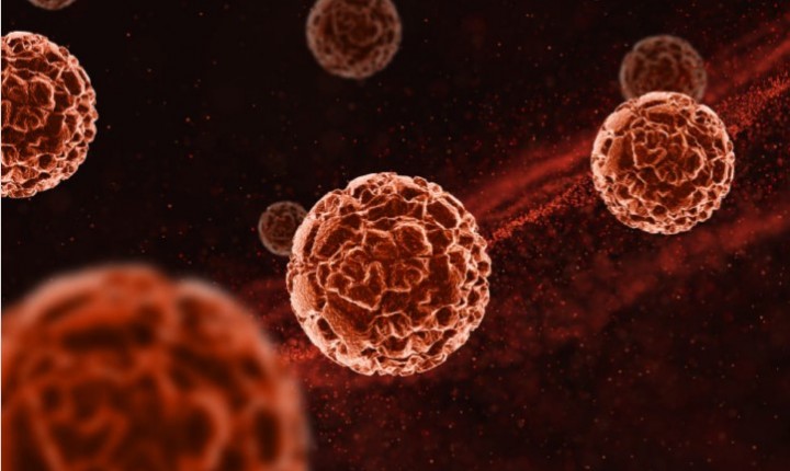 Câncer de sangue pouco conhecido exige atenção