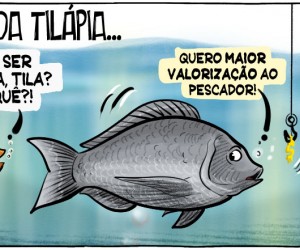 Raul Sartori apresenta mix de notícias políticas de SC - 27/08