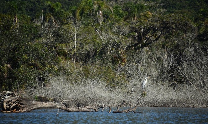 Rua Trajano se torna galeria a céu aberto