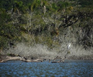 Rua Trajano se torna galeria a céu aberto