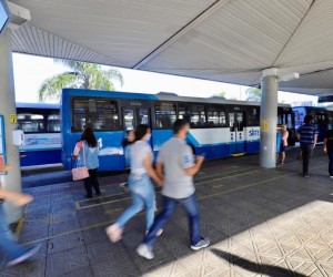 Floripa garante ônibus gratuito a mulheres em medida protetiva