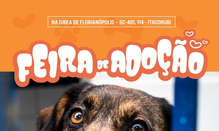 Feira da Dibea aproxima pets de novos lares