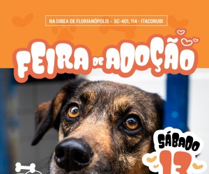 Feira da Dibea aproxima pets de novos lares