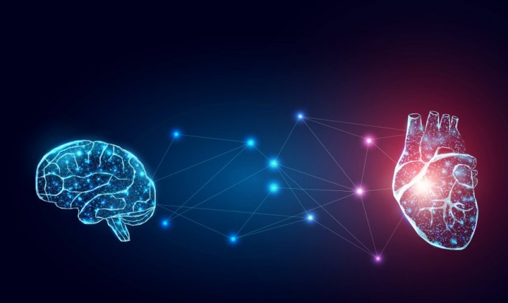 Emoções intensas elevam risco cardíaco