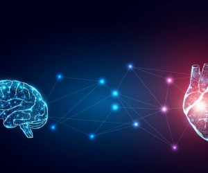 Emoções intensas elevam risco cardíaco