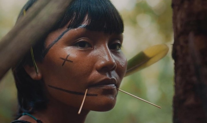 Planetdoc lança streaming com cinema socioambiental