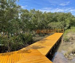 Nova passarela do Itacorubi reconecta cidade e natureza