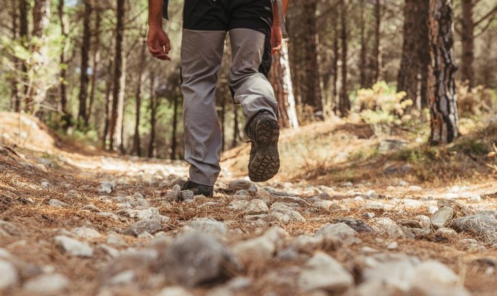 Trilha da Lagoinha do Leste: como chegar e o que levar para aproveitar o paraíso escondido de Florianópolis