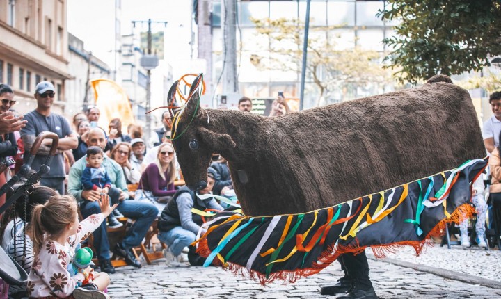 Dia das Crianças ganha festa especial na Feira Viva a Cidade
