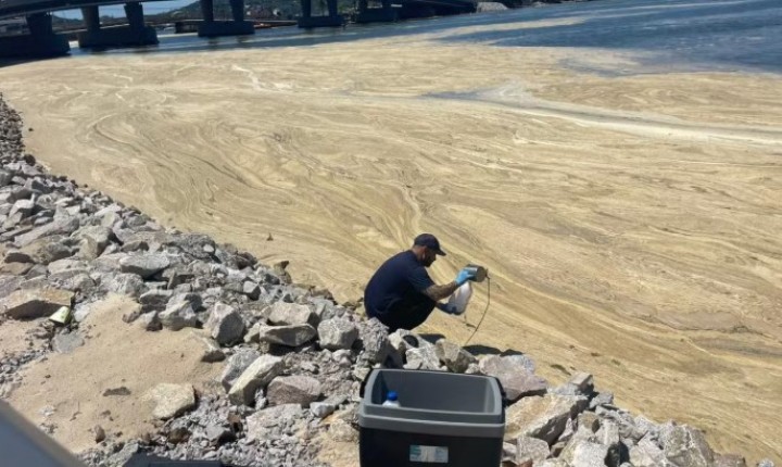 Espuma na Lagoa da Conceição revela fenômeno natural
