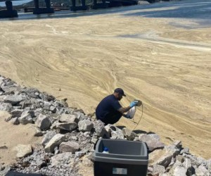 Espuma na Lagoa da Conceição revela fenômeno natural